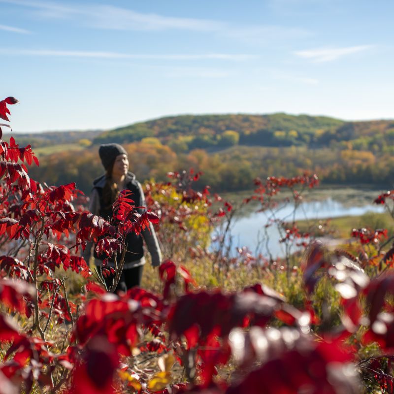 Otter Trail Scenic Byway | Explore Minnesota